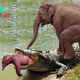 binh. “Mother’s Valor: Epic Battle Between Elephant and Crocodile for the Rescue of Swallowed Calf – A Heart-Stopping Encounter of Wildlife Determination and Maternal Instinct.”