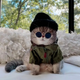 AL Embarking from the streets to stardom, behold the glamorous Instagram journey of a fashion-forward feline, adorned in adorable ensembles.
