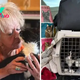 Family Reunites With Their Missing Cat After 2 Years And A 1000 Miles