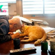 Girl Gets A Cat For Her Sick Grandpa And It Changes His Life