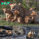 Pride of the Waters: Brave Lion Cubs Take the Plunge in Kenyan Waters, Basking in the Sun with Mother by Their Side