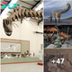 Meet Argentinosaurus: 98 million-year-old Giant Dinosaur Unearthed in Argentina Potentially Largest Land Animal Ever Found