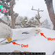 “Devoted Eagle Parents Brave California Storm to Shield Their Precious Eggs”SK