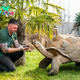 f.A giant tortoise weighing 600 kg and living up to 105 years old was adopted.f