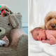 “When the Family Dog Wants to Participate in the Newborn’s First Photo Session: Adorable and Emotional Moments”