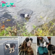 Heroísmo Conmovedor: Profesor Compasivo Rescata Cachorro Abandonado de un Peligroso Lago y Promete Brindarle un Hogar para Siempre