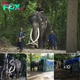From Sri Lanka to Thailand: Elephant’s Healing Journey Sparks Hope