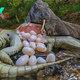 nha5.The huge lizard ate all the eggs in the crocodile nest without leaving any behind, driven by its insatiable hunger.