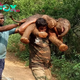 SV A gentleman holds an orphaned baby elephant that has just been saved, conquering the hearts of animal lovers