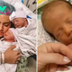 The Bachelor Star Lauren Burnham Wrote an Emotional Note About Her Newborn Twins While Her Daughter Was Still in the Hospital, Bringing Millions to Tears