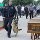 binh. The poignant moment that brought tears to everyone’s eyes: the loyal dog, sobbingly refusing to leave the owner’s casket, broke hearts during the emotional farewell, symbolizing the profound bond between human and animal.