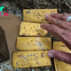 kem.Luck smiled on a European man when he accidentally discovered a treasure containing 9,999 gold bars that had been hidden since World War II (Video)