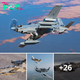 Lamz.Unleashing Fury: Textron Aviation Introduces the Mighty Beechcraft AT-6 Wolverine!