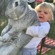 SR .Fraternizing with Giants: Encounter with the World’s Largest 2-Meter Mutant Rabbit. SR