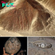 Peru’s Enigmatic Findings Spark Debates: Undeniable Evidence of Extraterrestrial Contact or Mysterious Phenomena?