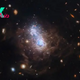 Space photo of the week: James Webb telescope reveals surprising starburst in ancient galaxy