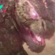 Godzilla x Kong Director Title Drops Barbenheimer About Godzilla’s New Pink Look