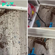 Mother begs people online for help after finding mysterious ‘coffee grounds’ in daughter’s bedroom