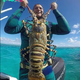 nht.”While exploring the depths of the Atlantic near the US coast, divers found a massive 70-pound lobster, revealing the wondrous secrets hidden beneath the ocean’s surface.”