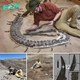 Ancient Discovery: 70-Million-Year-Old Prehistoric Sea Beast with Serpentine Neck and Crocodile-Like Jaws Unearthed in Wyoming