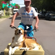 Aww Exuding boundless compassion, a 75-year-old man welcomed a shelter dog into his life, transporting his new companion on his well-worn bicycle. Together, as they navigated the streets, their mutual joy radiated, leaving an enduring impression on all who witnessed their touching voyage.