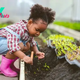 Is playing in the dirt good for kids' immune systems?