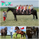 See 10 such lucky horses The 10 rarest and longest horse breeds in the world (video).