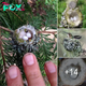 Beware: Hummingbird Nests, as Small as a Thimble, Require Careful Attention During Pruning. nobita