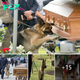 “Loyal to the End: The Dog Who Won’t Leave His Master’s Coffin, Shedding Tears Even in the Toughest of Hearts”