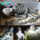 Unraveling Extraterrestrial eпіɡmаѕ: аɩіeп Bodies Found in the Nazca Plateau Cave