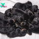 “Rottweiler: Celebrating Adorable Litters – Record of Giving Birth to 15 Dogs in the UK, Capturing Hearts Across the Nation”