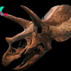 Triceratops: Facts about the three-horned dinosaur