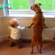 “A Wonderful Family Journey: The Magic of Raising Four Beagles”