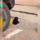 An Adorable ‘Little Bear’ Sleeping In A Store Parking Lot Asks Shoppers To Take Him Somewhere Warm