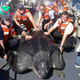 S29. Rescue Mission: American Explorers Free World’s Largest 1300-Pound Turtle Caught in Fisherman’s Net. S29