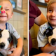 “Faith and Courage: The Touching Story of a Dog and a Boy Before the Challenge of Cleft Palate”