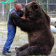AK The remarkable bond between a man and his bear companion, nurtured over nine years, has captivated the online community, leaving an indelible and enchanting mark on their hearts.
