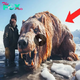 Incredible discovery: Man catches mutant fish-bear hybrid on Arctic expedition (video)