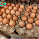 Is It Safe to Eat Eggs and Chicken During the Bird Flu Outbreak?