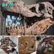 Unveiling the Prehistoric Puzzle: Enigmatic Holes in Sue the T. rex’s Jawbone Leave Scientists Perplexed, Fueling a Paleontological Mystery