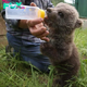Ns. heartwarming journey of a bear cub finding hope and comfort after a forest гeѕсᴜe