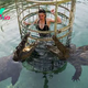 S29. Diving into the Depths: Exploring the Intriguing Underwater World of Crocodiles. S29