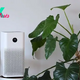 Best air purifiers for allergies 2024