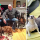 “Good friends with compassionate hearts: Couple gives loving homes to abandoned old dogs”