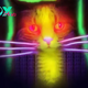 The Technical Architecture of the Quantum Cats 
