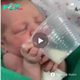 Inspiring Hope: A Video of a Newborn Clutching a Milk Cup Captivates Millions