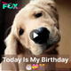Lamz.Barking Bash: A Pup’s Birthday Bonanza