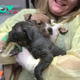 QT The Kind Lady: Filling Hearts with Warmth Through Rescuing Two Abandoned Puppies