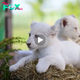 Lamz.Embark on an Adventure: Discover the Enchanting World of Tiger Cubs (VIDEO)