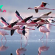 East Africa's Lake Nakuru almost doubled in size in 13 years — and that's bad news for flamingos
